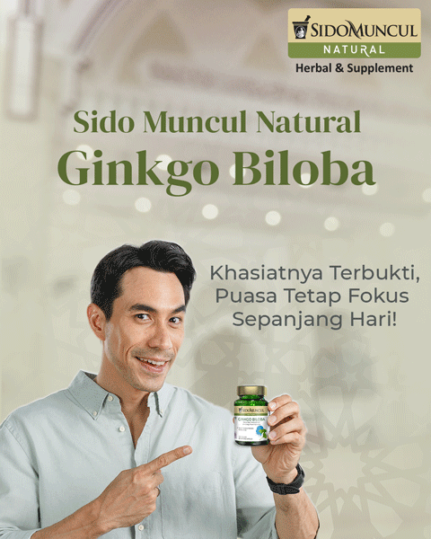 banner 325x300