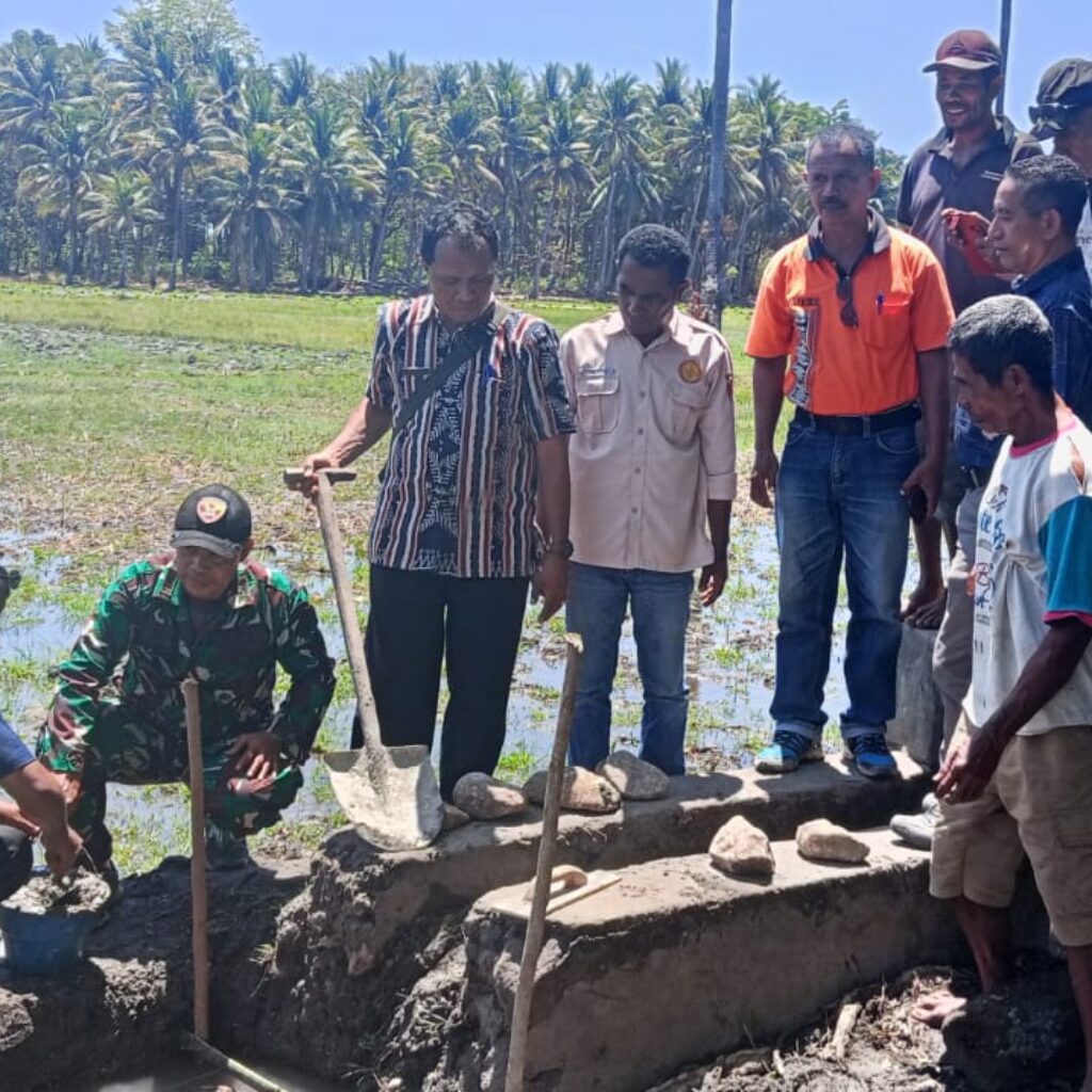 Dinas Pertanian Sikka Bangun Irigasi Baru untuk Dukung Swasembada Pangan