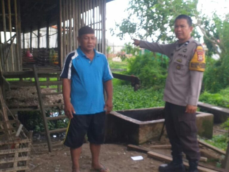 Pencurian Ayam Resahkan Warga Bonto Perak, Bhabinkamtibmas Gerak Cepat Datangi TKP