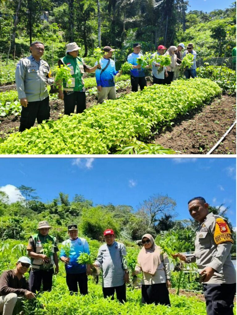 Dinas Pertanian Pangkep Monitoring Tanaman Sayuran dan Perkebunan, Bhabinkamtibmas Bantu Dorong Ketahanan Pangan