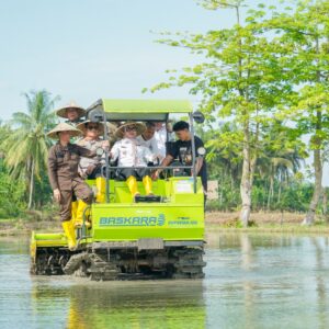 LTT Dongkrak Luas Tanam Barru Jadi 36.000 Ha, Produksi Naik ke 139 Ribu Ton: Dari 1 Kali Jadi 3 Kali Panen