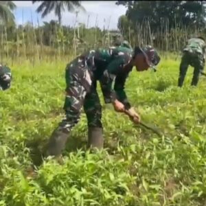 Satgas Yonif 123/Rajawali Wujudkan Ketahanan Pangan di Pedalaman Papua Selatan