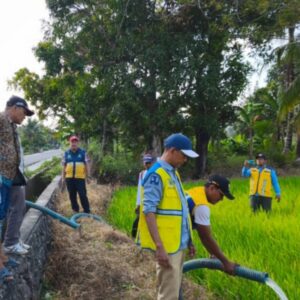 Dampak Kekeringan, Pemkab Pinrang Suplay Air ke Areal Persawahan