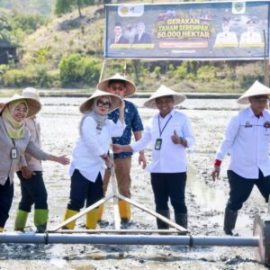 Barru Jadi Tuan Rumah Gerakan Tanam Serempak Nasional, Bupati: Ini Tanggung Jawab yang Harus Kita Kawal