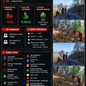 Tim Manggala Agni Berhasil Padamkan Karhutla Seluas 12 Hektare di Kelurahan Lampa