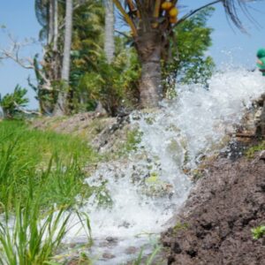 Program Irpom, Pemkab Pinrang Komitmen Jaga Produktivitas Pertanian