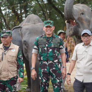 Way Kambas Menuju Benteng Konservasi Modern